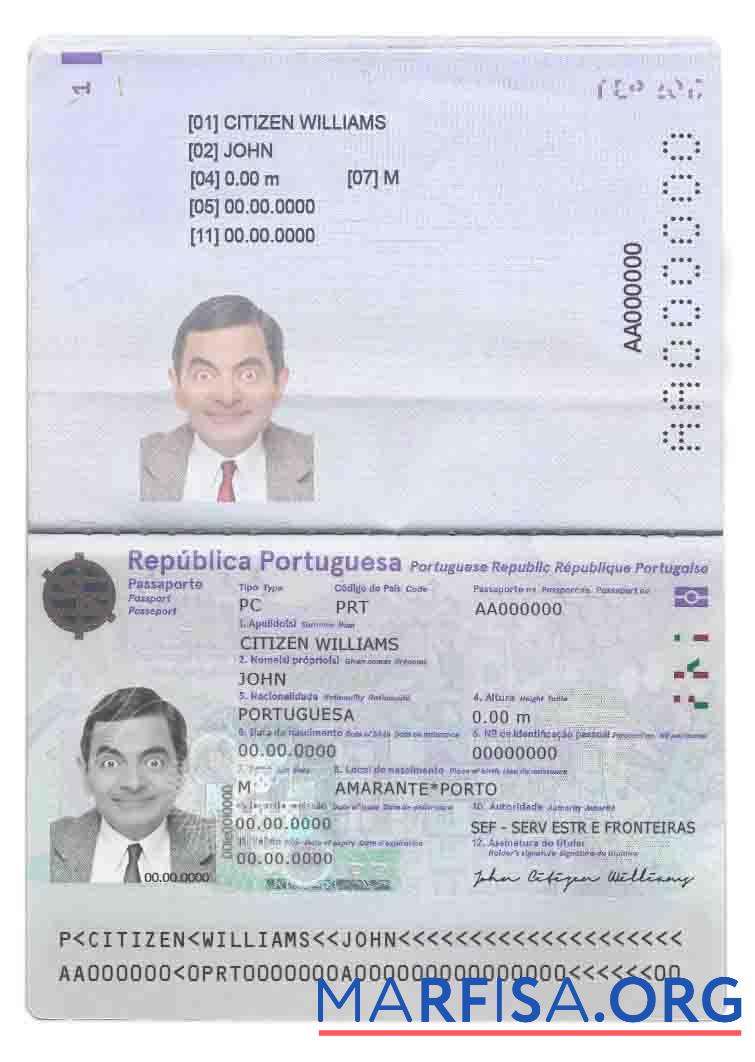 Realistic Portugal pass (2017 present) template